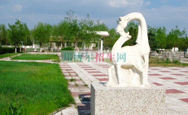 大慶醫學高等?？茖W校