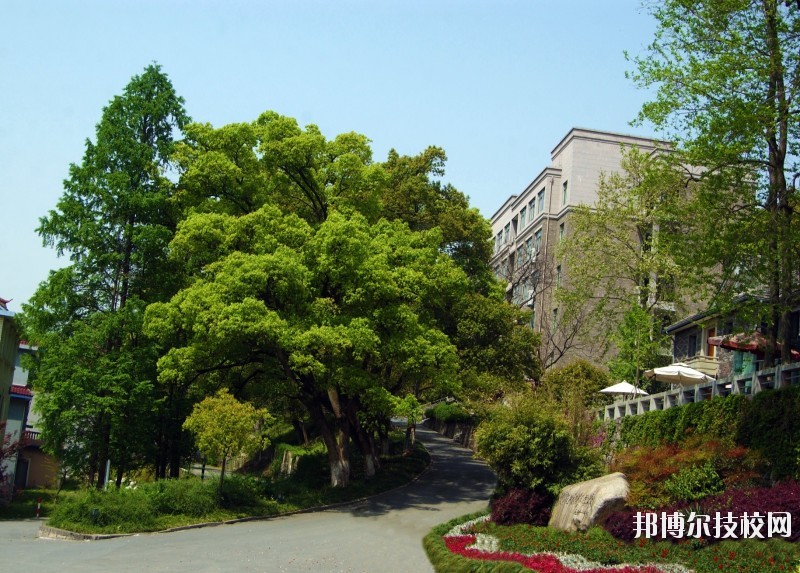 中國美術學院附屬中等美術學校2020年報名條件、招生要求、招生對象