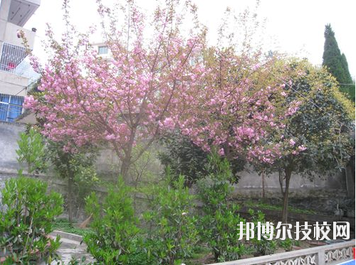 嵐皋縣中等職業(yè)技術學校2020年報名條件、招生要求、招生對象