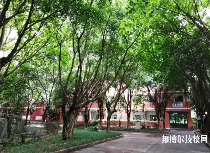 重慶舞蹈學(xué)校2020年報(bào)名條件、招生要求、招生對(duì)象
