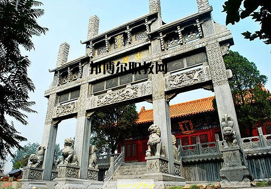 河北美術學院2020年報名條件、招生要求、招生對象