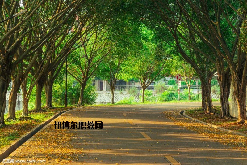仙桃金園職業(yè)高級中學2020年報名條件、招生要求、招生對象