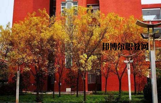 鶴峰職業(yè)技術(shù)學(xué)校2020年報(bào)名條件、招生要求、招生對象