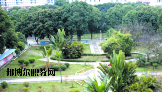 廣西百色農(nóng)業(yè)學(xué)校2020年報(bào)名條件、招生要求、招生對(duì)象 