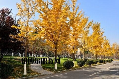 蘄春李時珍中等專業學校怎么樣、好不好