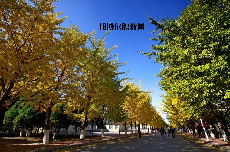 浠水理工中等專業學校怎么樣、好不好