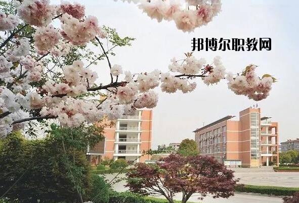 桐鄉衛生學校2020年報名條件、招生要求、招生對象