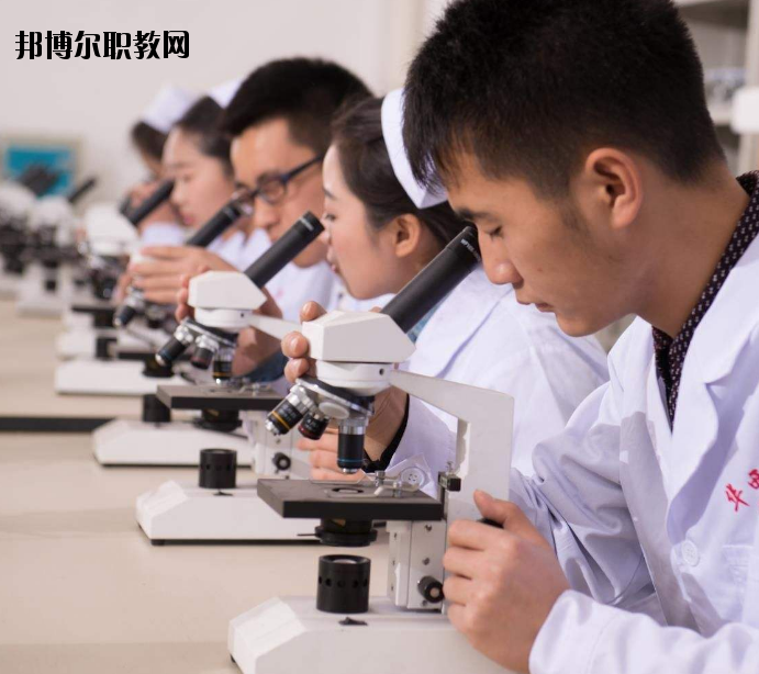 焦作護理學校怎么樣、好不好