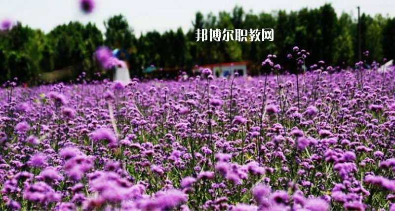 鄭州綠野科技中等專(zhuān)業(yè)學(xué)校2021年招生辦聯(lián)系電話(huà)