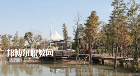 崇左八桂城市中等職業技術學校2020年招生辦聯系電話 