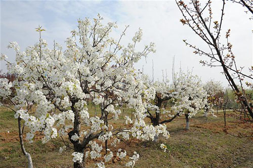 宿遷高等師范學(xué)校怎么樣、好不好