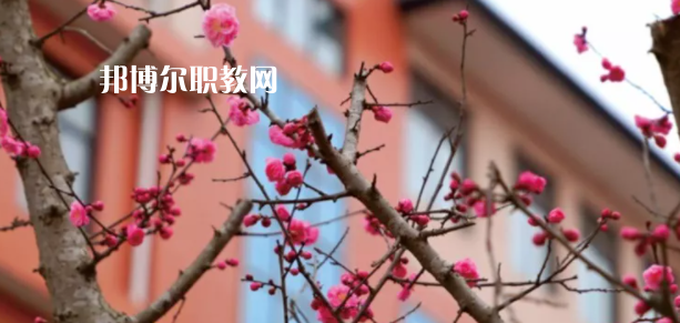 成都廣信數(shù)字技術(shù)職業(yè)學校2022年招生簡章