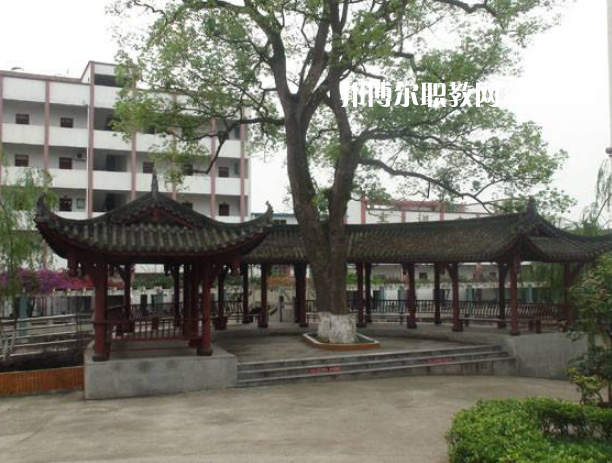 四川合江先市職業(yè)高級中學校怎么樣、好不好