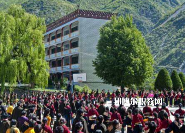 四川省藏文學校2022年報名條件、招生要求、招生對象