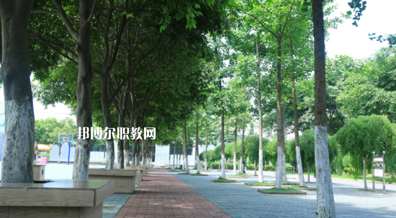 鎮(zhèn)雄縣職業(yè)高級中學2022年報名條件、招生要求、招生對象