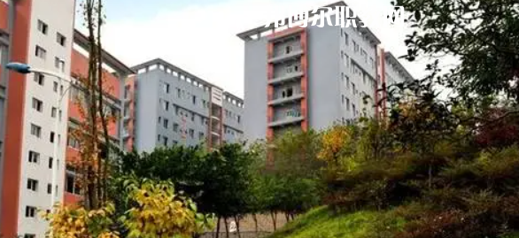 四川市綿竹職業(yè)中專學(xué)校2022年報(bào)名條件、招生要求、招生對(duì)象