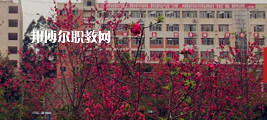 岑溪市中等專業(yè)學(xué)校2022年報名條件、招生要求、招生對象