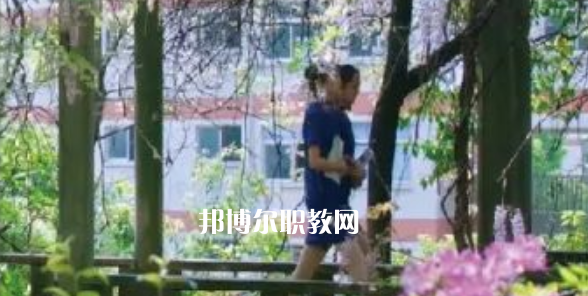 2023金華市成功學校招生計劃 招生人數(shù)是多少(附要求、條件、對象)