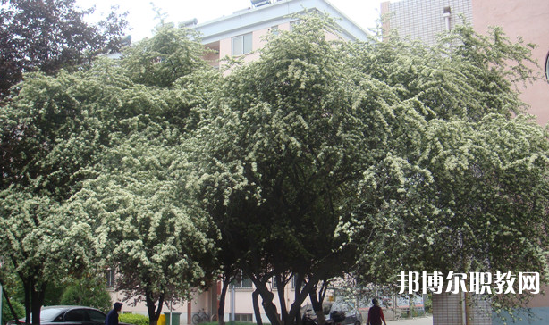 寶雞技師學院地址，乘車路線