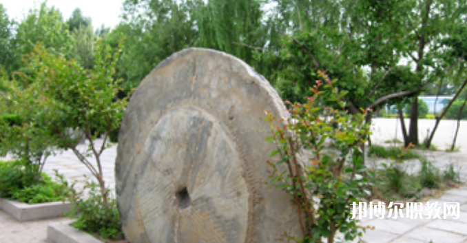 野風(fēng)美術(shù)中學(xué)怎么樣、好不好