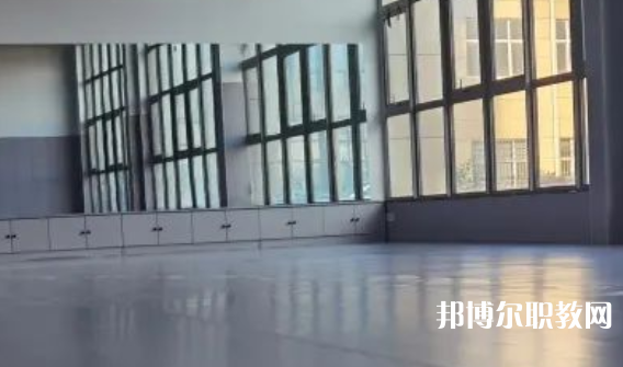 2023秦皇島市藝新舞蹈學(xué)校招生計劃 招生人數(shù)是多少(附要求、條件、對象)