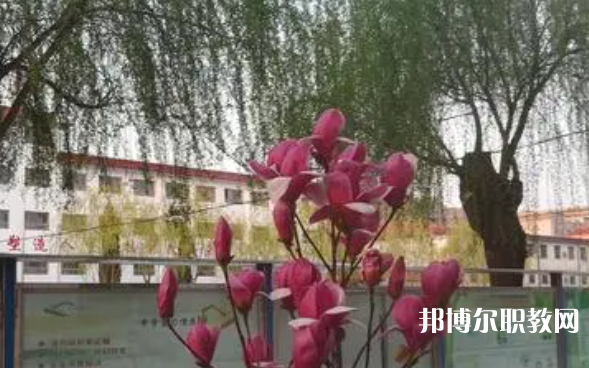 2023柏鄉(xiāng)縣職教中心招生計(jì)劃 招生人數(shù)是多少(附要求、條件、對(duì)象)